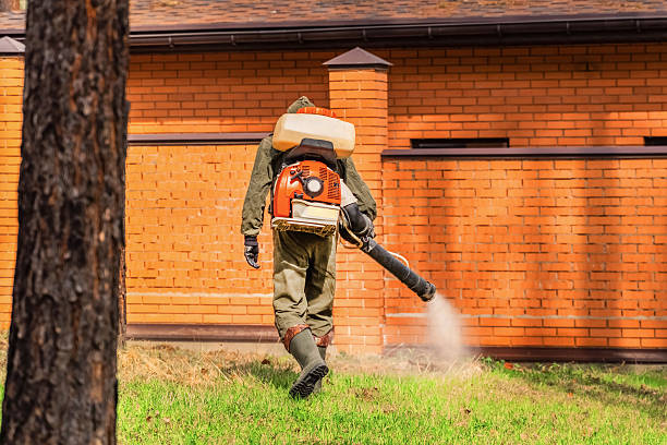 Trusted Rodent Control service in Fox Crossing, WI - Nex Pest Control